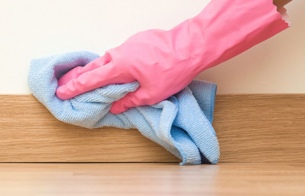 cleaning services idaho